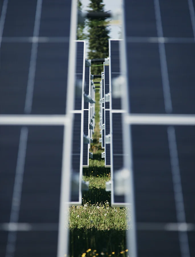 Pannelli fotovoltaici