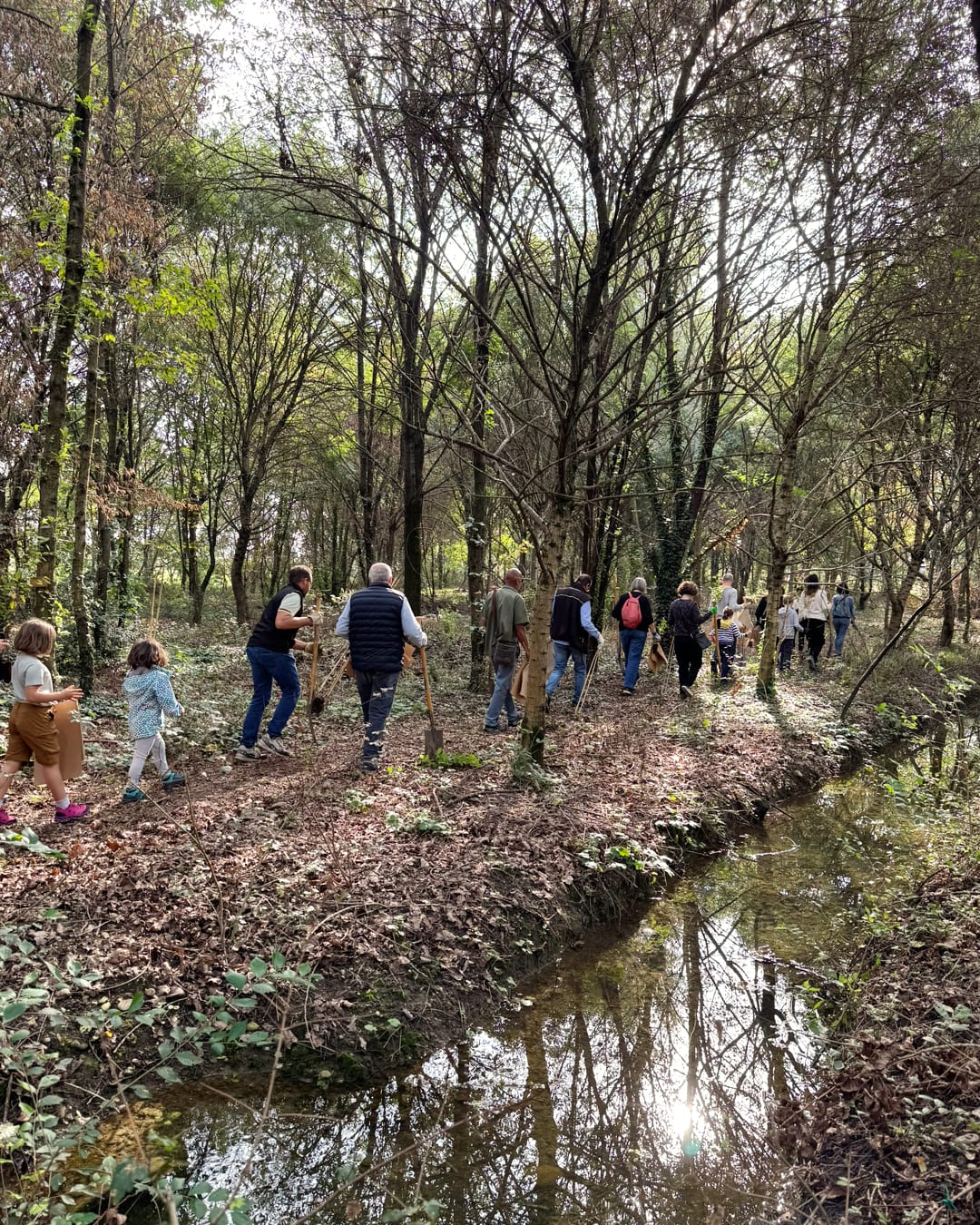 evento in un bosco