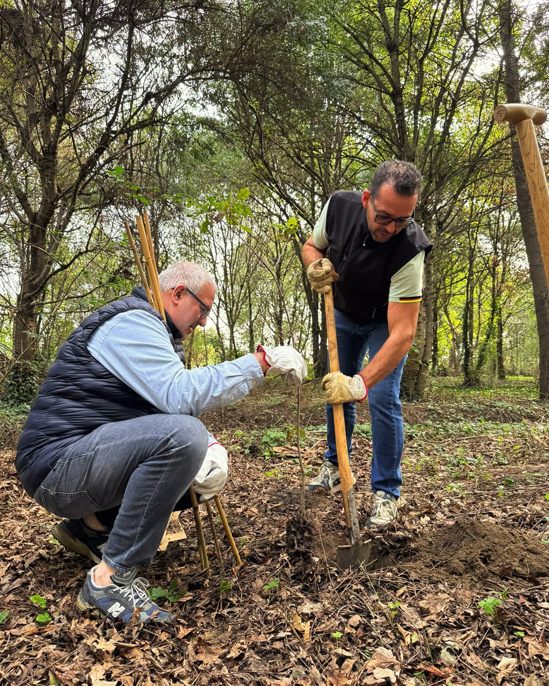evento in un bosco